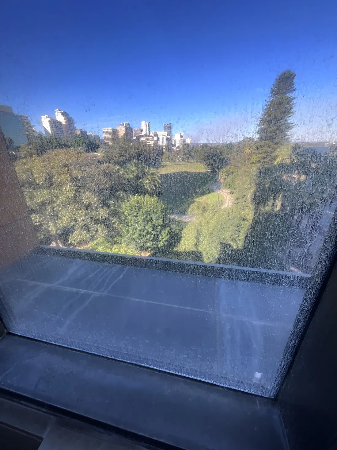 Severely corroded high-rise window glass in Perth, the park hazed out behind the mineral damage